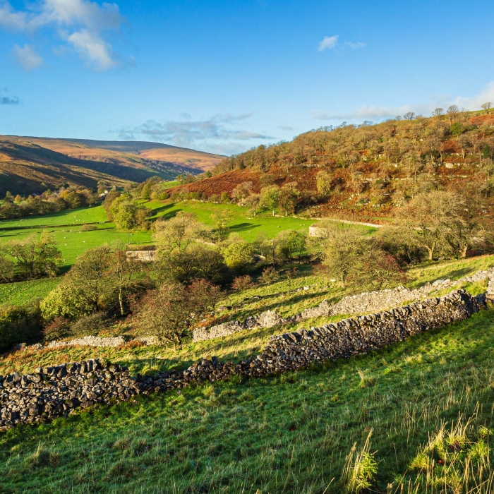 View west along Langstrothdale from its junction with Wharfeldale, Yorkshire Dales, England. EL010