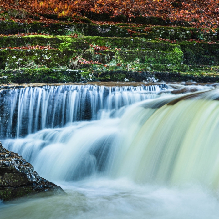 Autumn at Aysgarth Falls, Wensleydale, Yorkshire, England. EL009