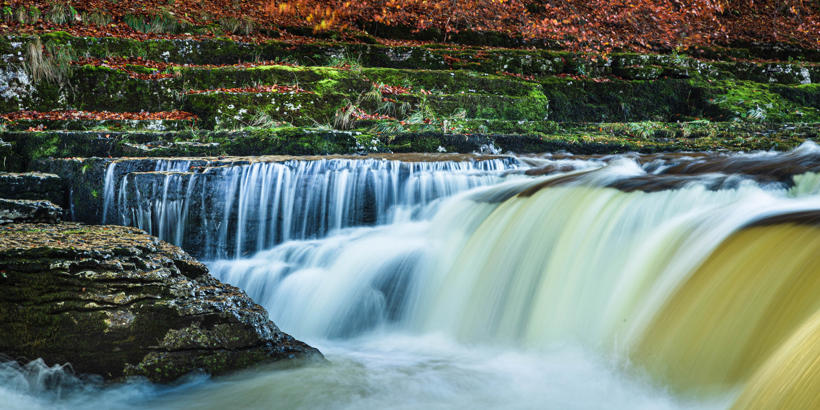 Autumn at Aysgarth Falls, Wensleydale, Yorkshire, England. EL009