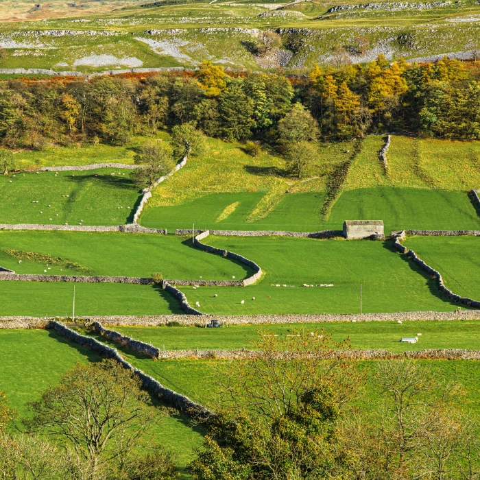 Fields and limestone features near Kettlewell, Wharfedale, Yorkshire, England. EL007