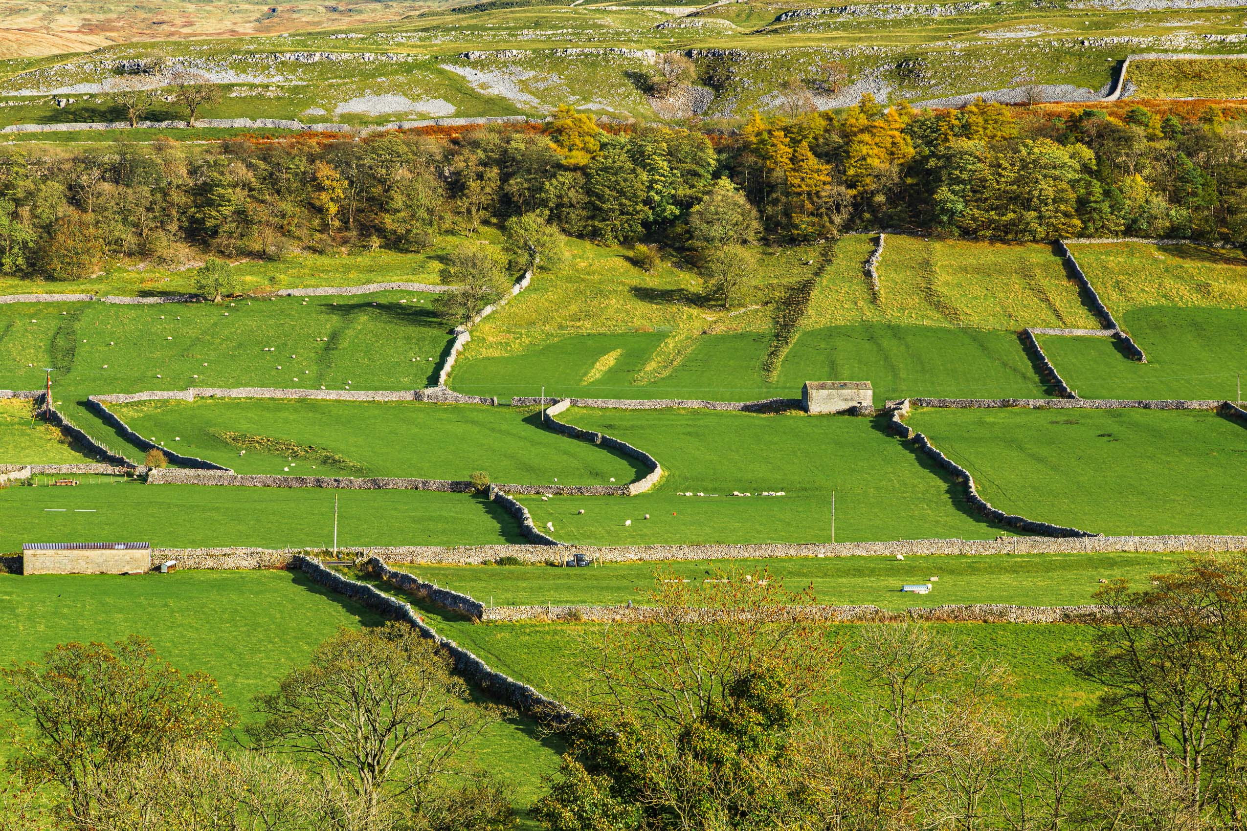 Fields and limestone features near Kettlewell, Wharfedale, Yorkshire, England. EL007