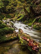 Below Janet's Foss waterfall, on Gordale Beck, near Malham, Yorkshire, England. EL003