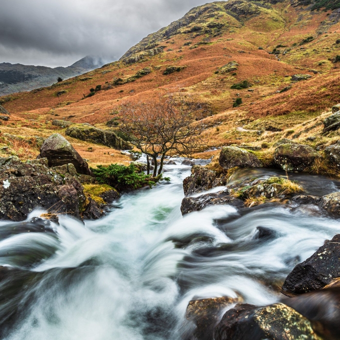 Bleamoss Beck, below Blea Tarn, The Lake District, Cumbria, England. EL017