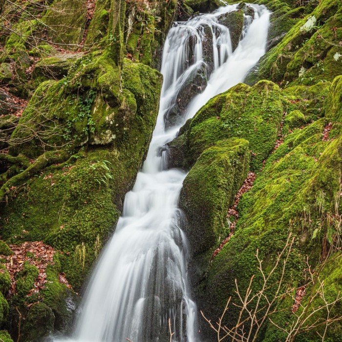 Stock Ghyll Force waterfall, near Ambleside, Cumbria, England. EL021