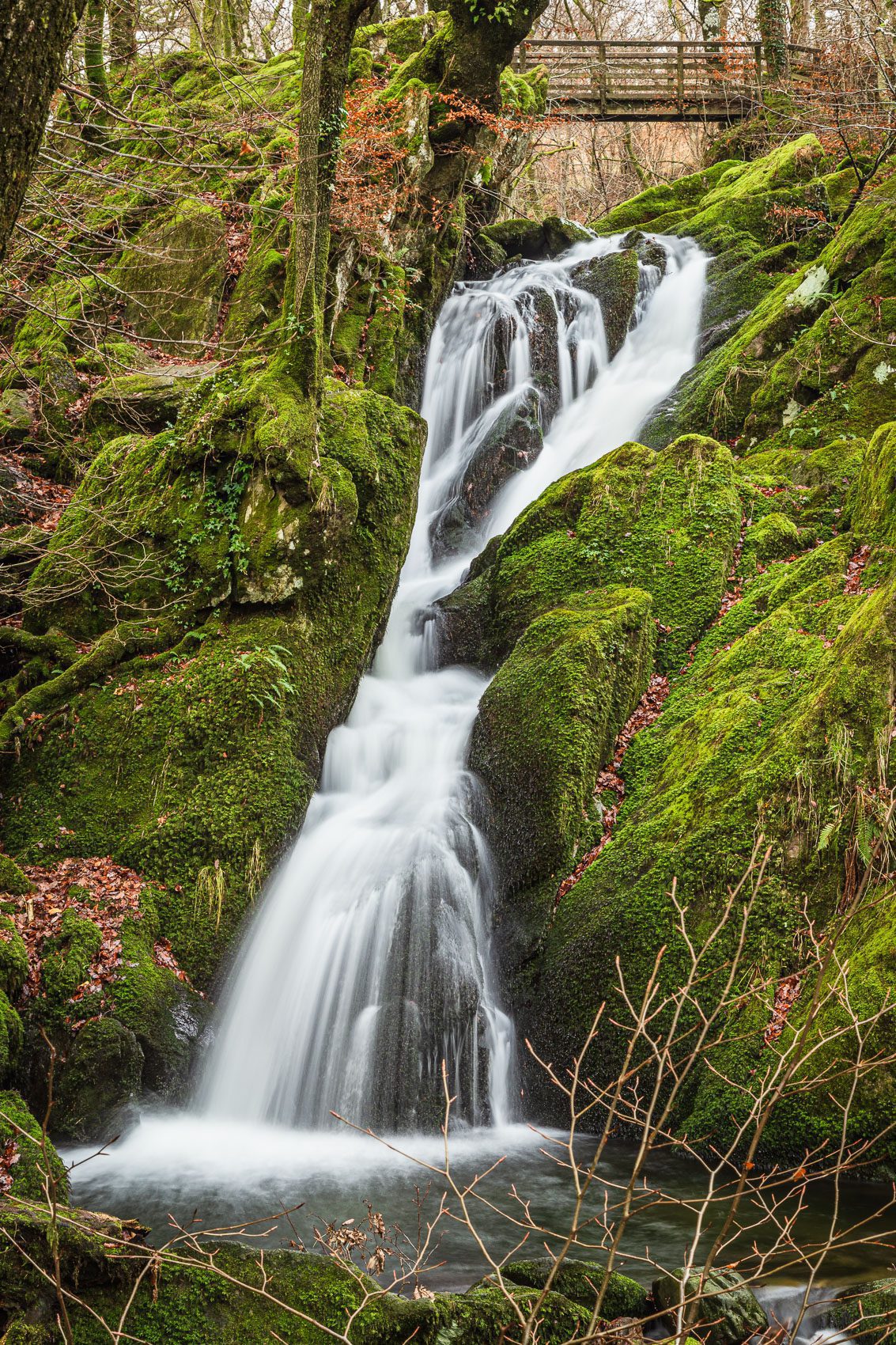 Stock Ghyll Force waterfall, near Ambleside, Cumbria, England. EL021