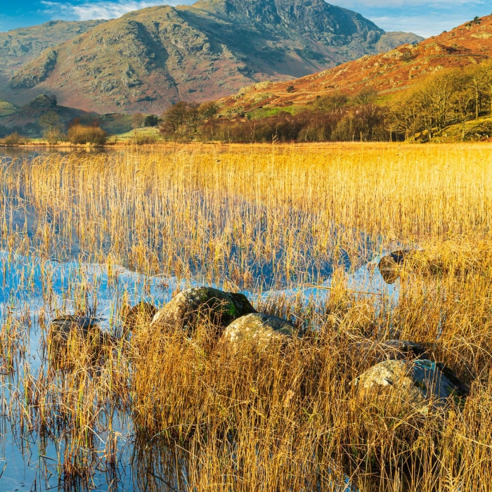 Wetherlam from Little Langdale Tarn, Cumbria, England EL029