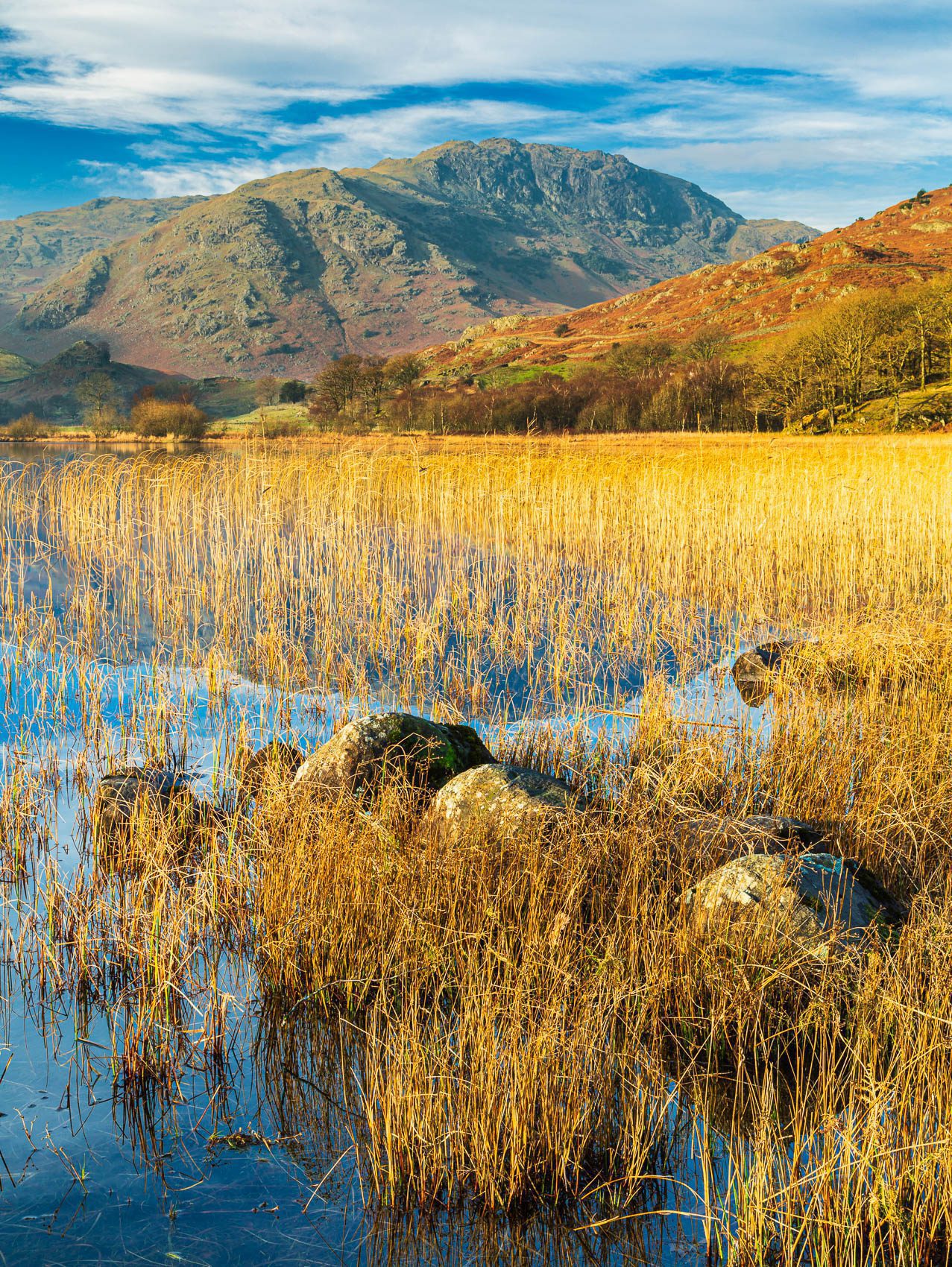 Wetherlam from Little Langdale Tarn, Cumbria, England EL029