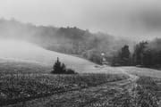 Grounds of Penland School of Crafts, North Carolina, USA. CM001