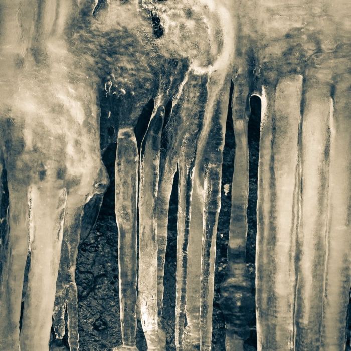 Ice detail, Blue Ridge Parkway, North Carolina, USA. CM009