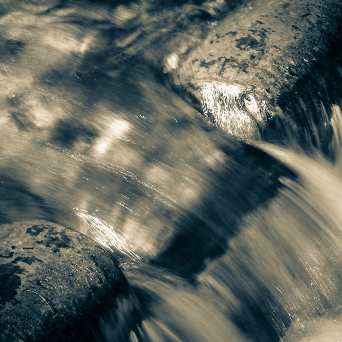 Water detail, North Carolina, USA.