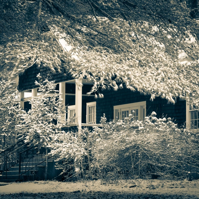 Duotone of house and snow-laden tre at Penland, North Carolina, USA. CM013