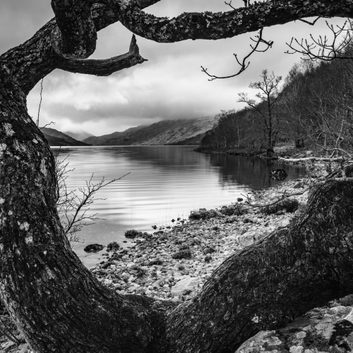 Loch Arkaig, Lochaber, Scotland. SM029