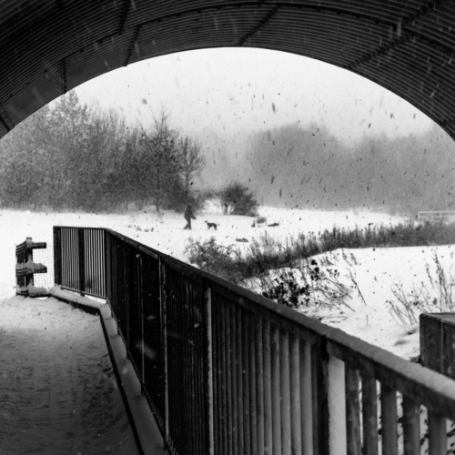 Person and dog playing in a snowstorm. EH037