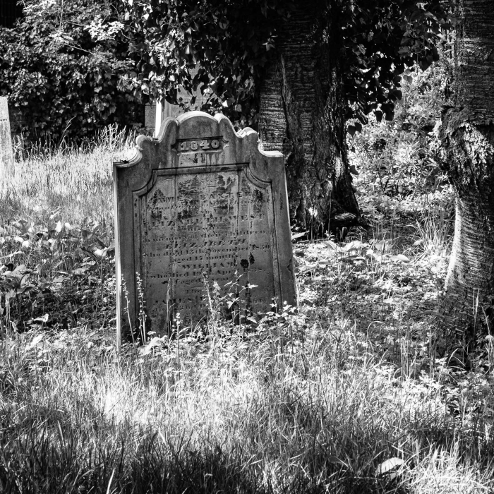 Monochrome image of an overgrown churchyard in Dundee, Scotland SM058