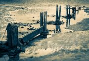 Duotone of rotted groyne, Broughty Ferry beach, Dundee, Scotland