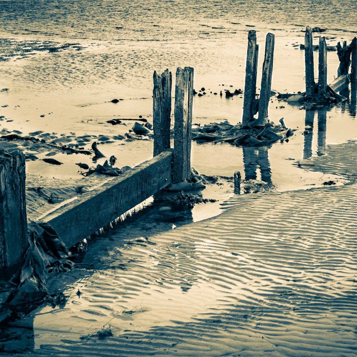 Duotone image of rotting wooden groyne on Broughty Ferry beach, Dundee, Scotland. DD073