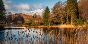 Ben Lomond from Loch Ard, The Trossachs, Scotland. TR007