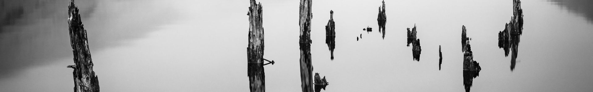 Old pier supports at the head of Loch Arkaig, Lochaber, Scotland. SM045