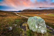 Dawn in Glen Muick, Cairngorms National Park, Scotland. HC027