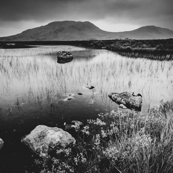 Lochan na Stainge, Rannoch Moor, Scotland. SM004