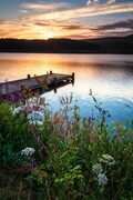 Wildflowers and jetty at Portmore Loch, Borders, Scotland. BD003