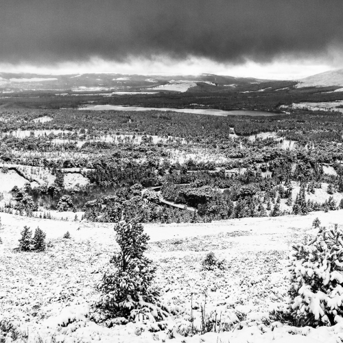 Snowy landscape near Loch Garten, Cairngorms National Park, Scotland SM056