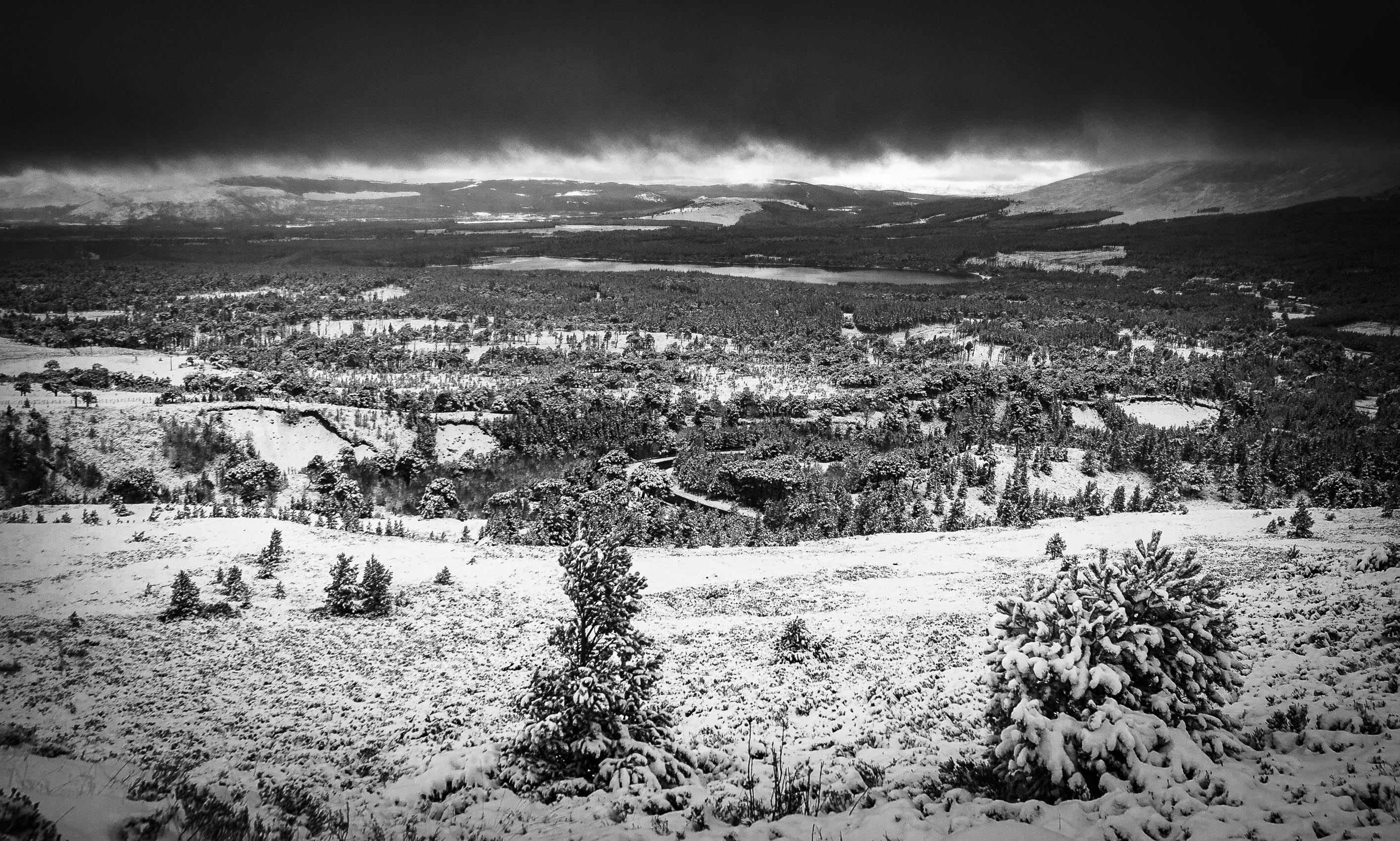 Snowy landscape near Loch Garten, Cairngorms National Park, Scotland SM056