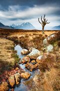 Rannoch Moor, Scotland. HC046