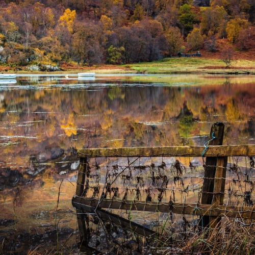 Reflection in Loch Iubhair, Stirlingshire, Scotland. SH001