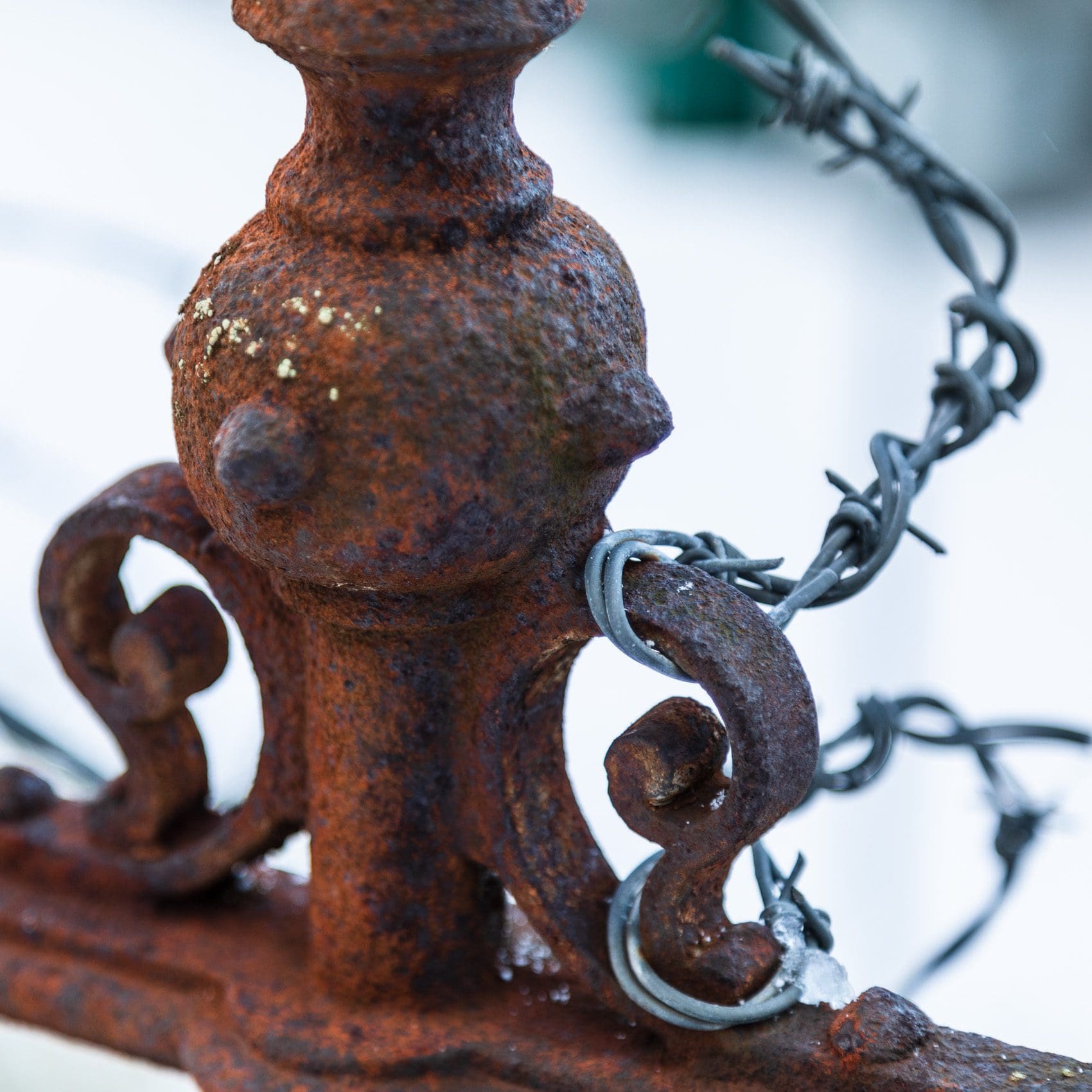 Railing and barbed wire against a snowy background, Riverside Approach, Dundee, Scotland. DD117