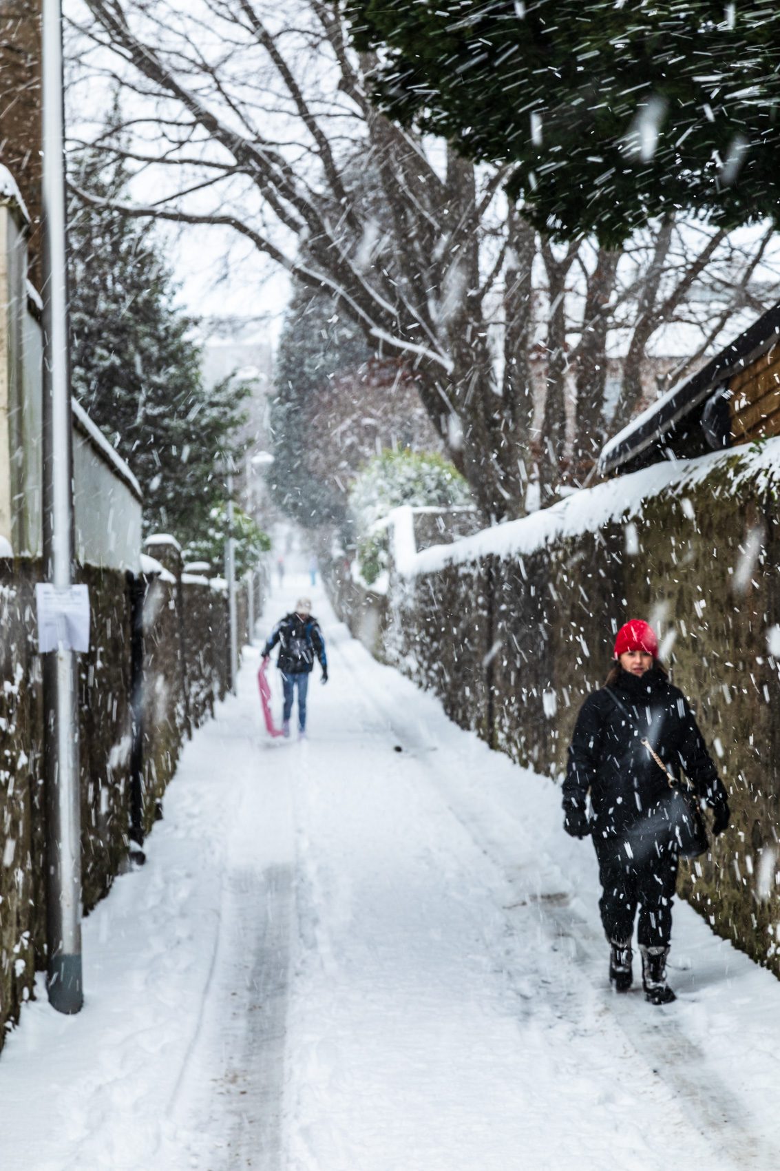 Heavy snowfall, Strawberry Bank, Dundee, Scotland. DD118