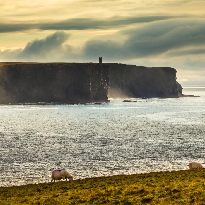 Marwick Head and the Kitchener Memorial, from the Brough of Birsay, Orkney Islands. OR012