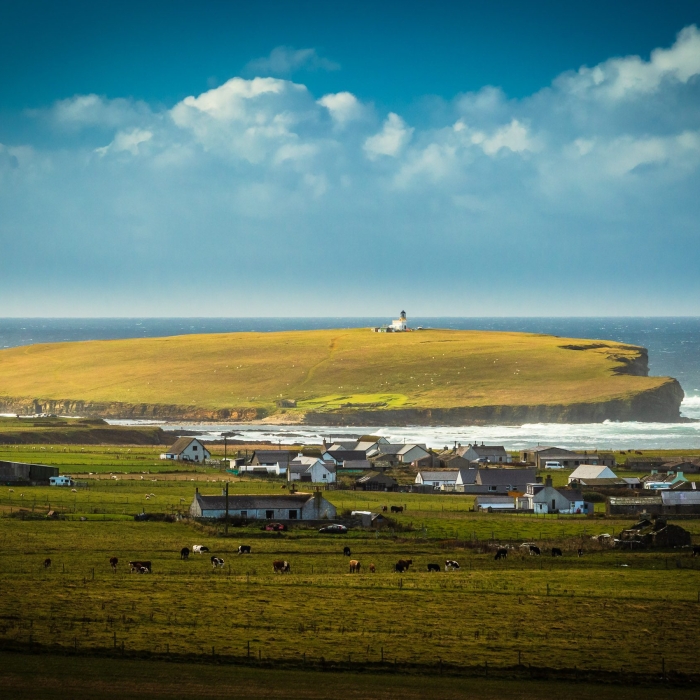 Brough of Birsay, from above Northside, Mainland, Orkney Islands. OR023