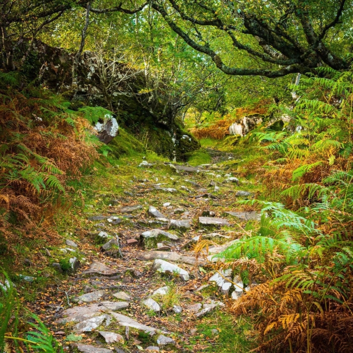 The ancient track from Ard Dubh to Ardban, Applecross, Scotland. AP022