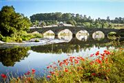 The River Barrow at Graiguenamanagh, County Kilkenny. IL003