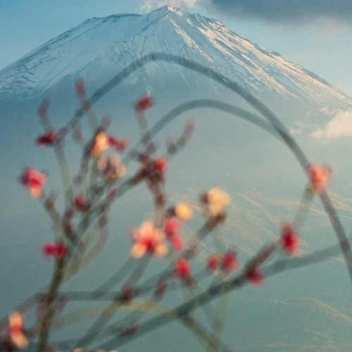 Mount Fuji from Oishi Park, Kawaguchiko, Japan