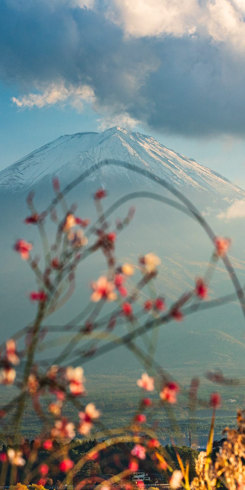 Mount Fuji from Oishi Park, Kawaguchiko, Japan