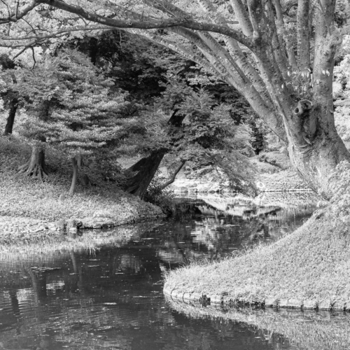 Koishikawa Korakuen garden, Tokyo, Japan