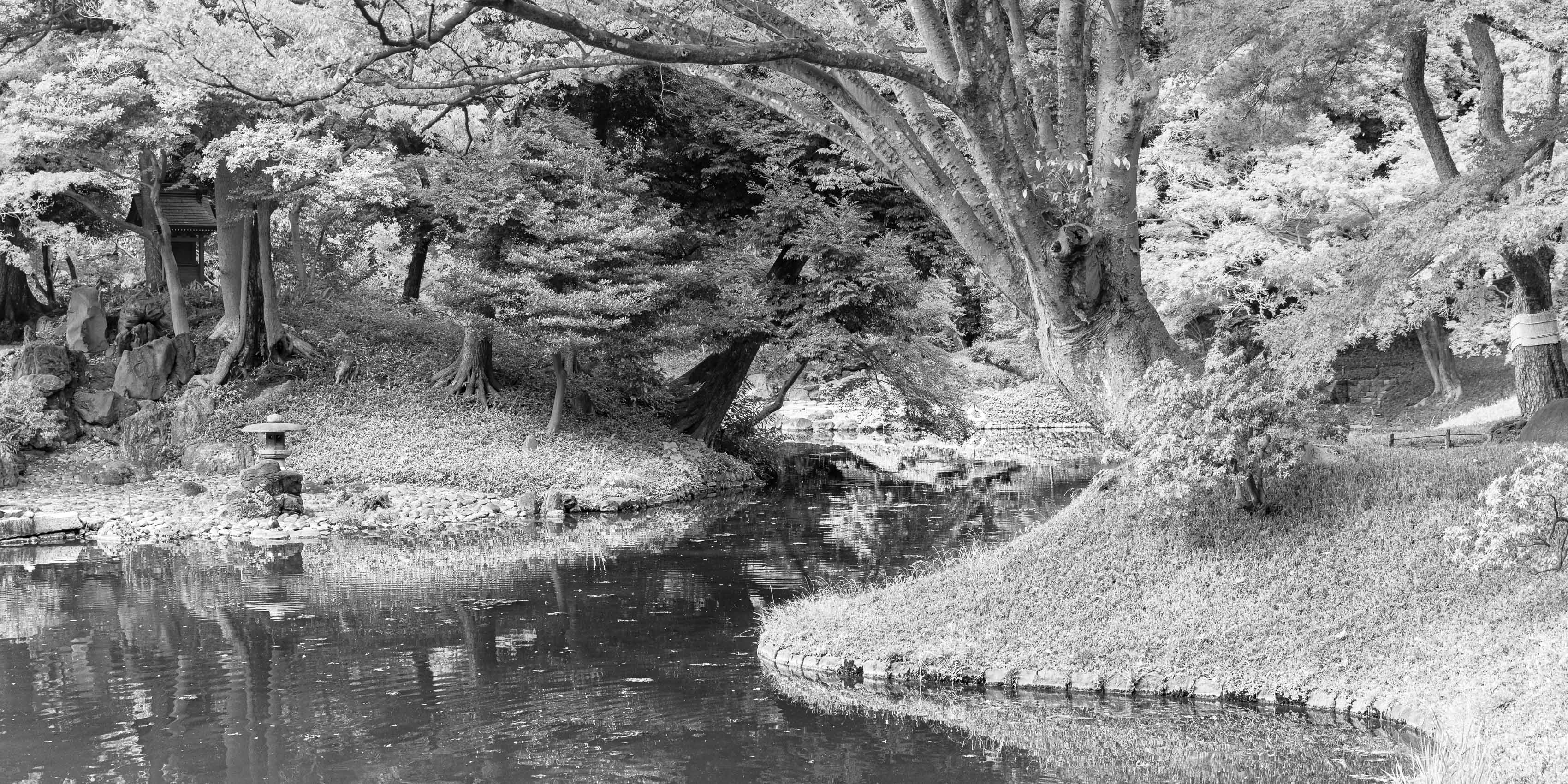 Koishikawa Korakuen garden, Tokyo, Japan