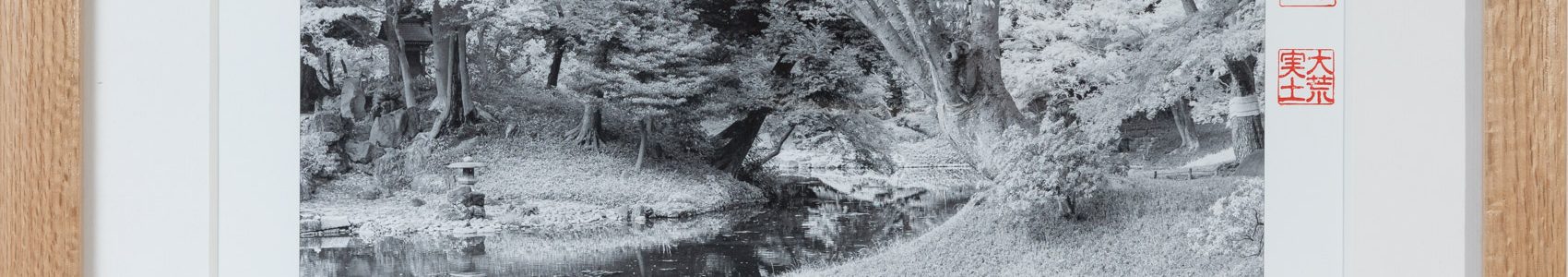 Framed Print of 'Koishikawa Korakuen Garden, Tokyo'