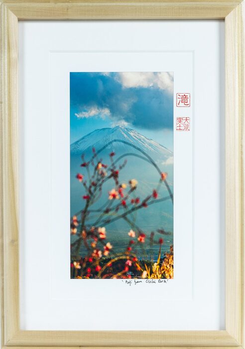 Framed Print of 'Fuji from Oishi Park'