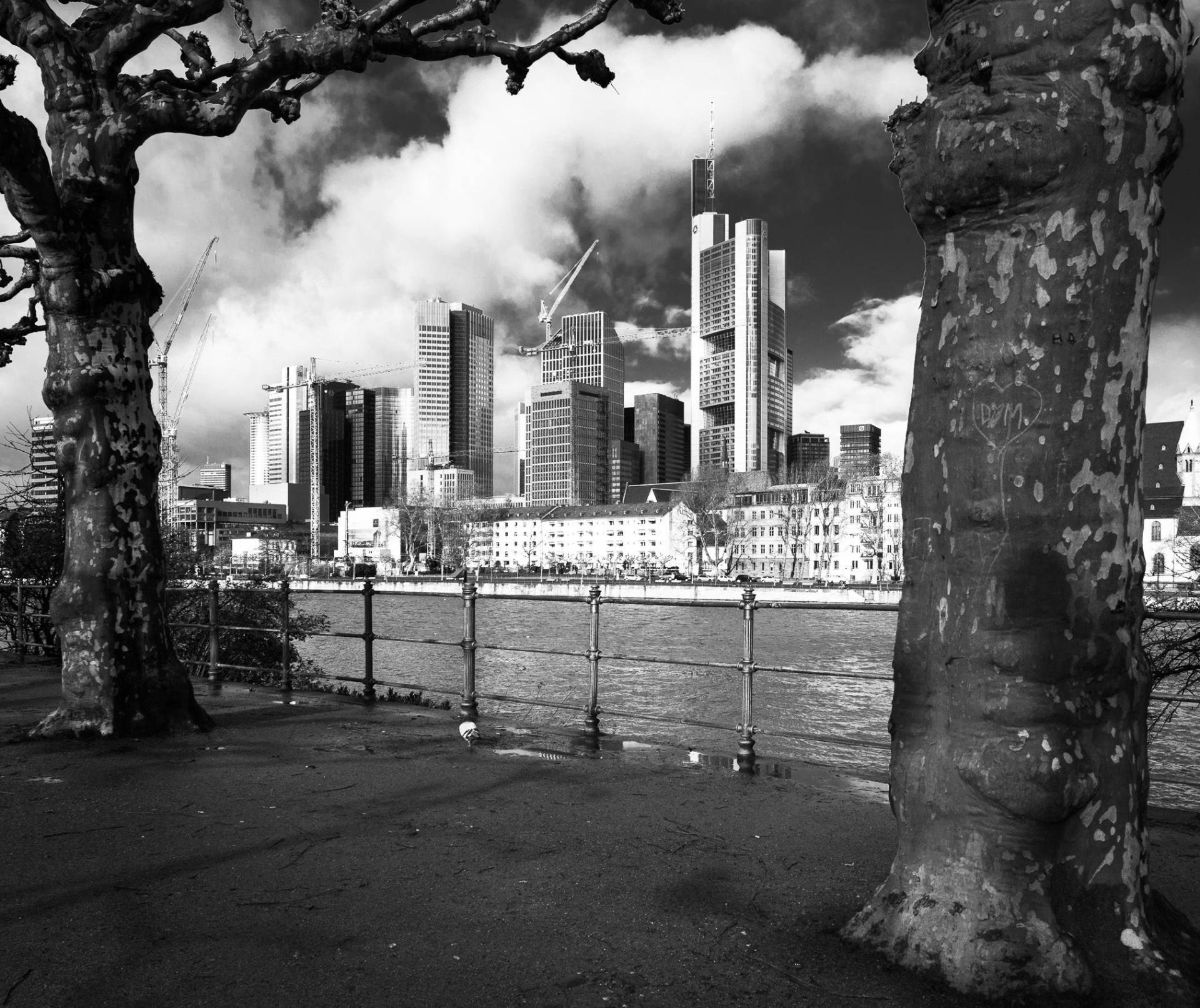 Monochrome image of Frankfurt city centre from across the Main.