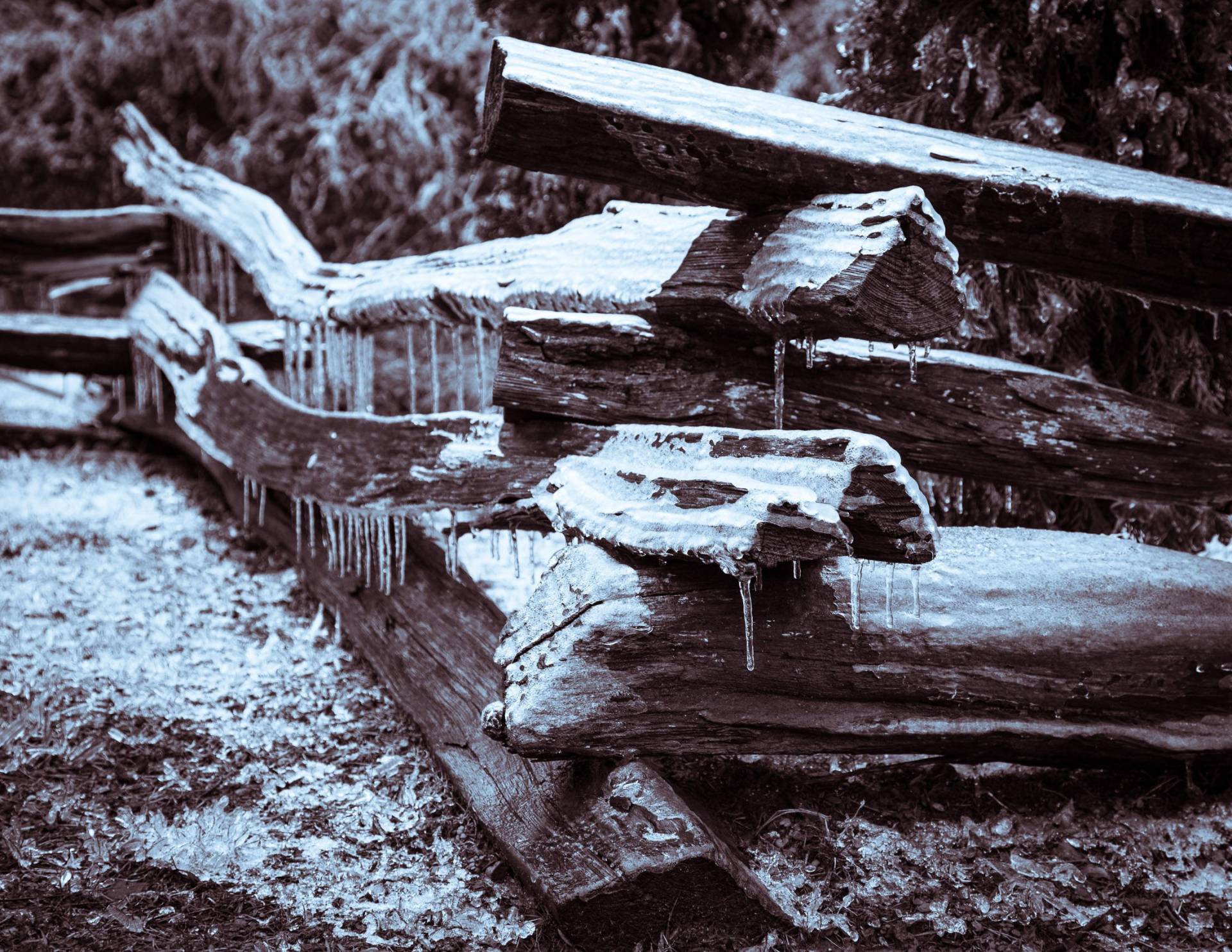 Duotone of ice-covered split-rail log fence near Little Switzerland, North Carolina, following an ice-storm. NC021