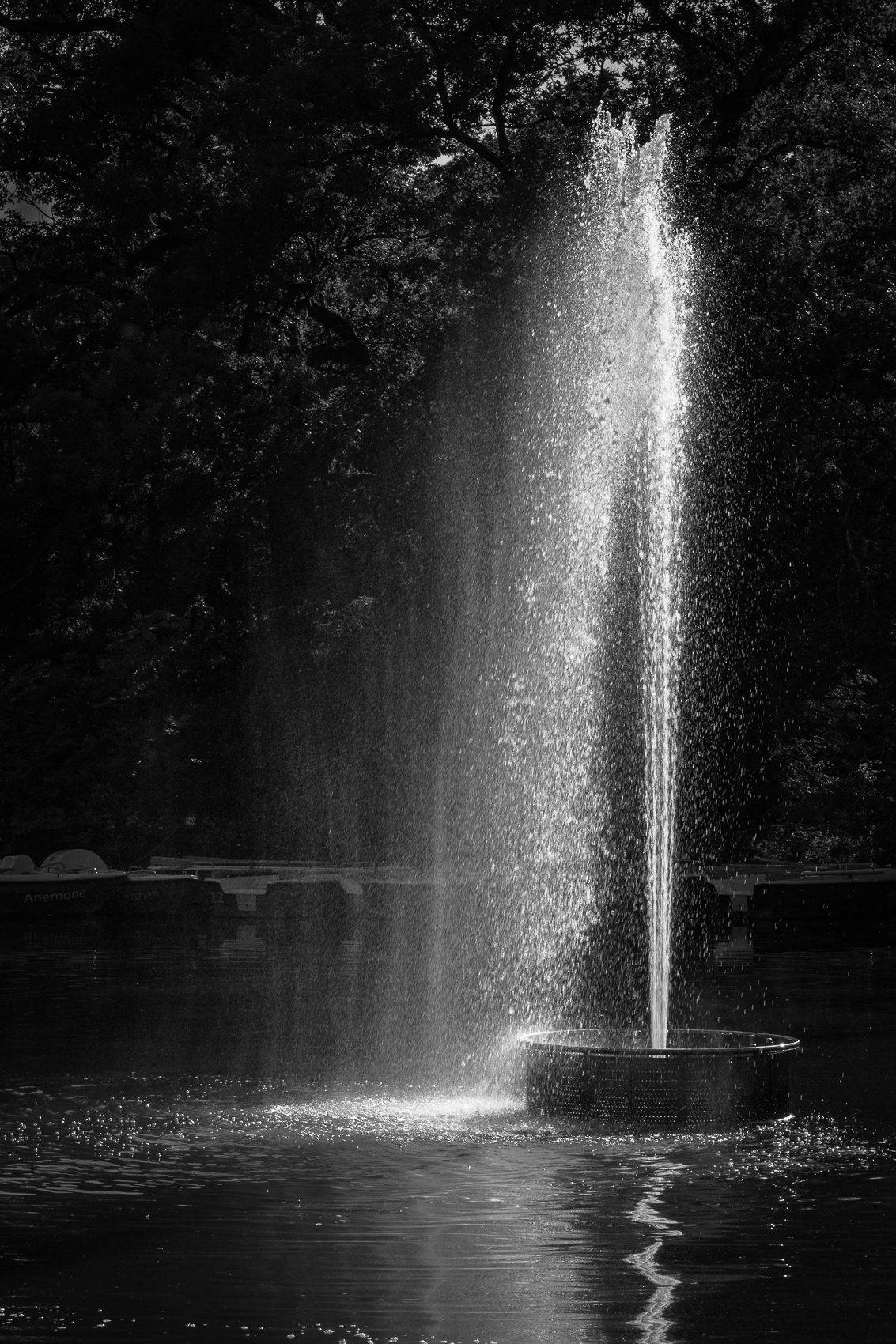 Fountain in the Palmengarten, Frankfurt am Main, Germany.