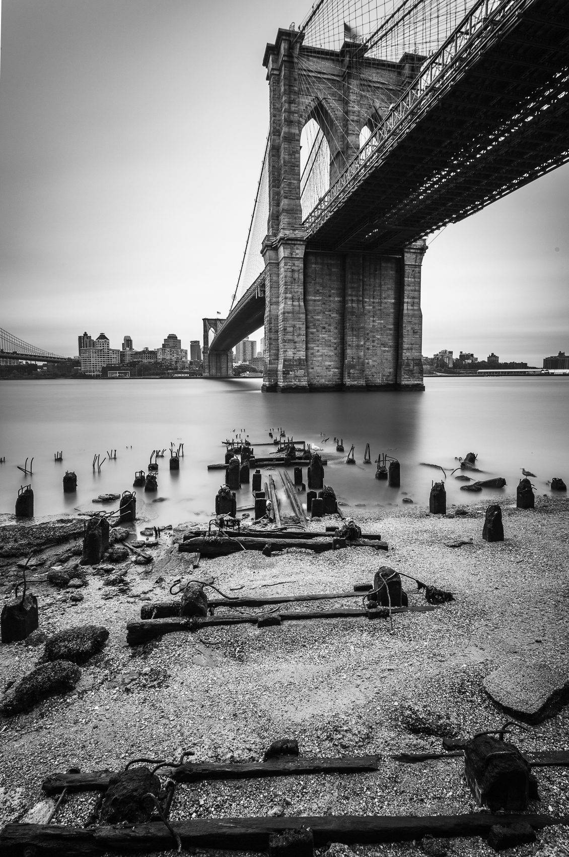 Brooklyn Bridge and old pier pilings in the East River at low tide, New York City. NM006