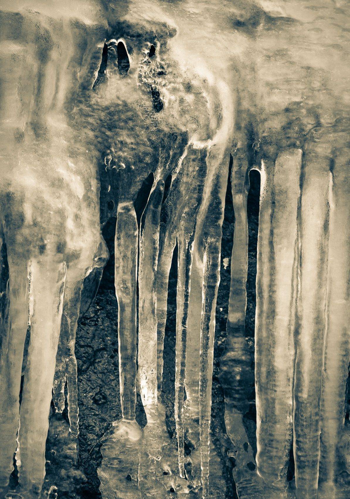 Ice detail, Blue Ridge Parkway, North Carolina, USA. CM009